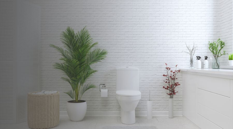Why choose Albuquerque Porta Potty Rental for construction porta potty rental in Albuquerque, NM